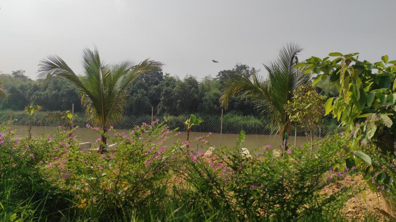 Homestay Dat Viet Cat Tien Exteriér fotografie