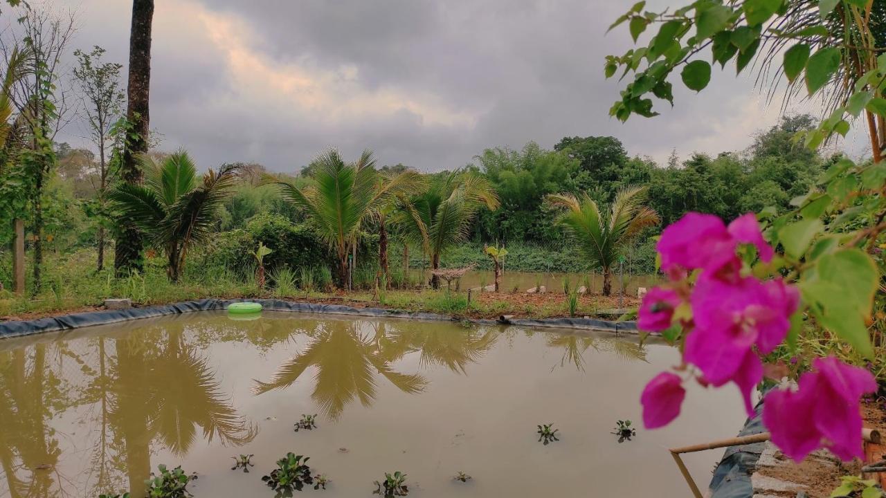 Homestay Dat Viet Cat Tien Exteriér fotografie