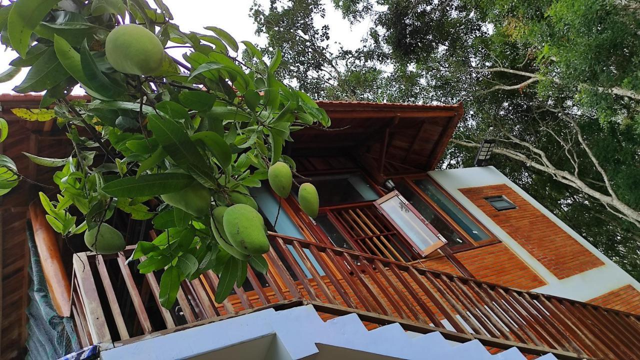 Homestay Dat Viet Cat Tien Exteriér fotografie